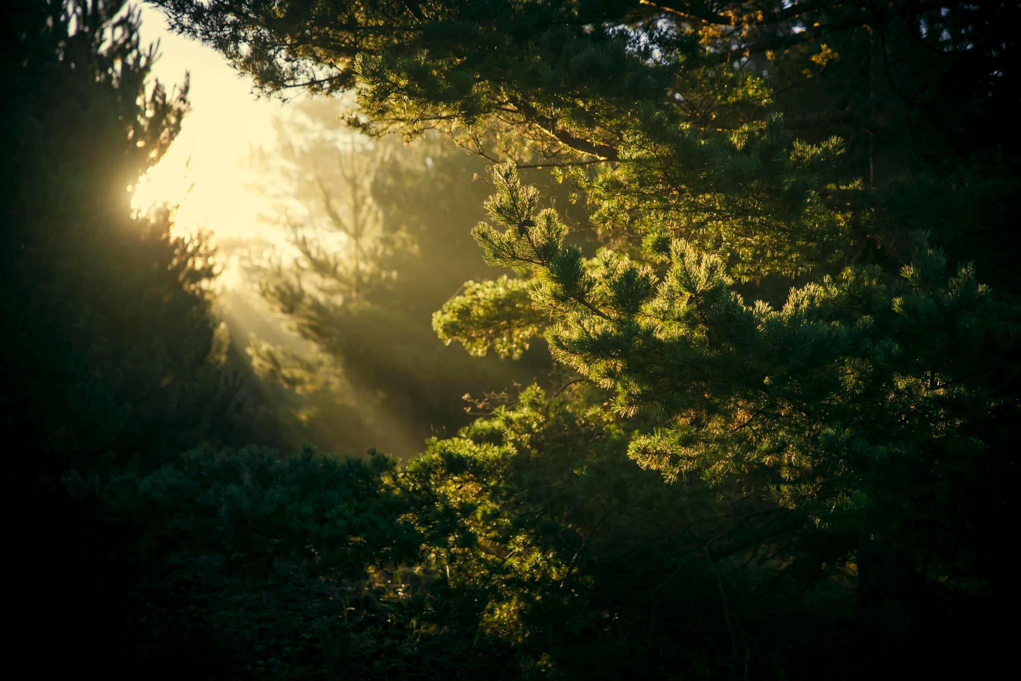მოდი და დააგემოვნე ნამდვილი დასვენება!