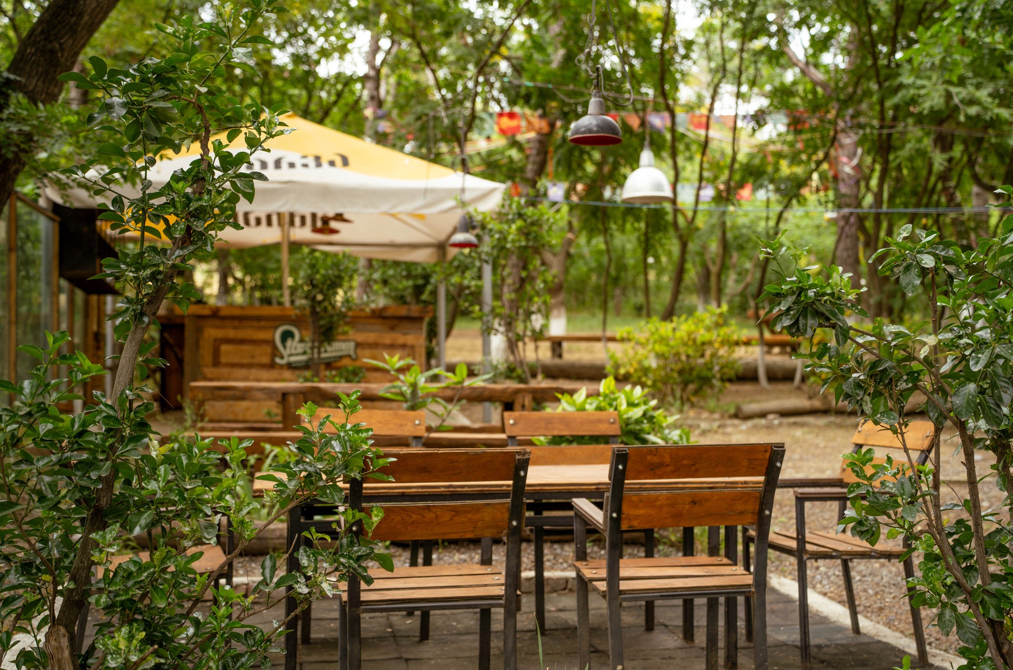 მყუდრო გარემო